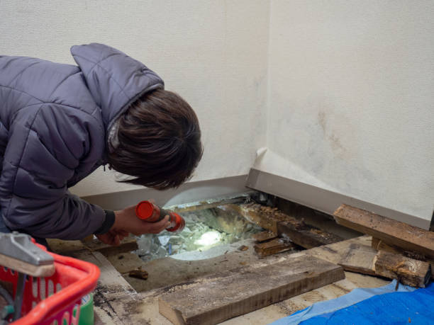Best Comprehensive Air Testing for Mold Contaminants  in Tieton, WA