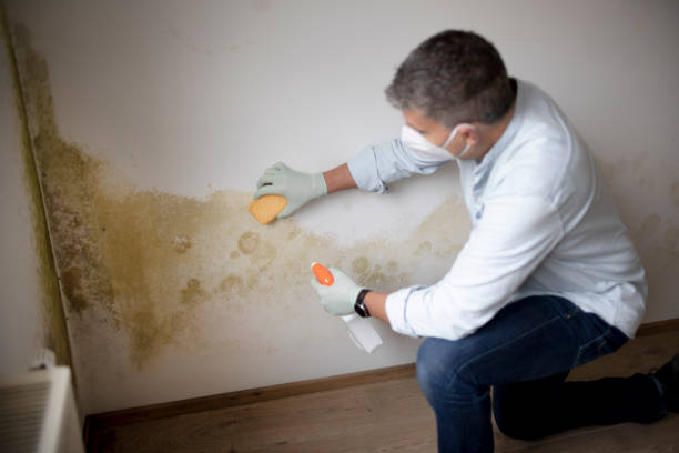 Best Crawl Space Mold Remediation  in Tieton, WA