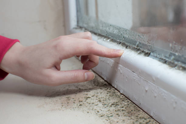Best Dehumidification Services  in Tieton, WA